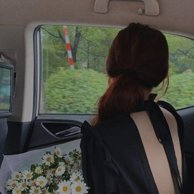 安东尼娅：一个女子的肖像 海报